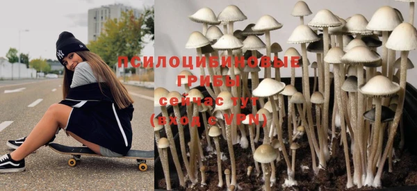 2c-b Богданович