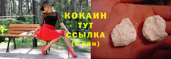 твердый Богородицк
