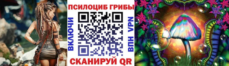 цены наркотик Шилка Псилоцибиновые грибы GOLDEN TEACHER