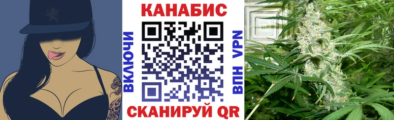 Канабис гибрид Шилка